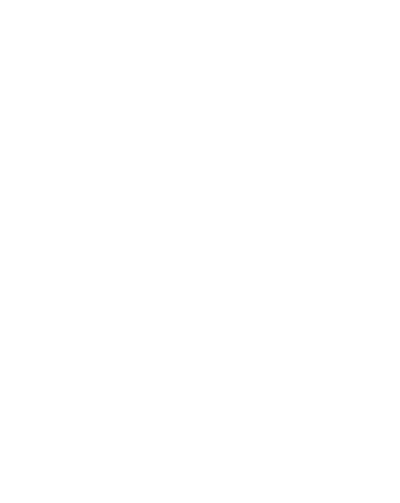 Logo aniversario